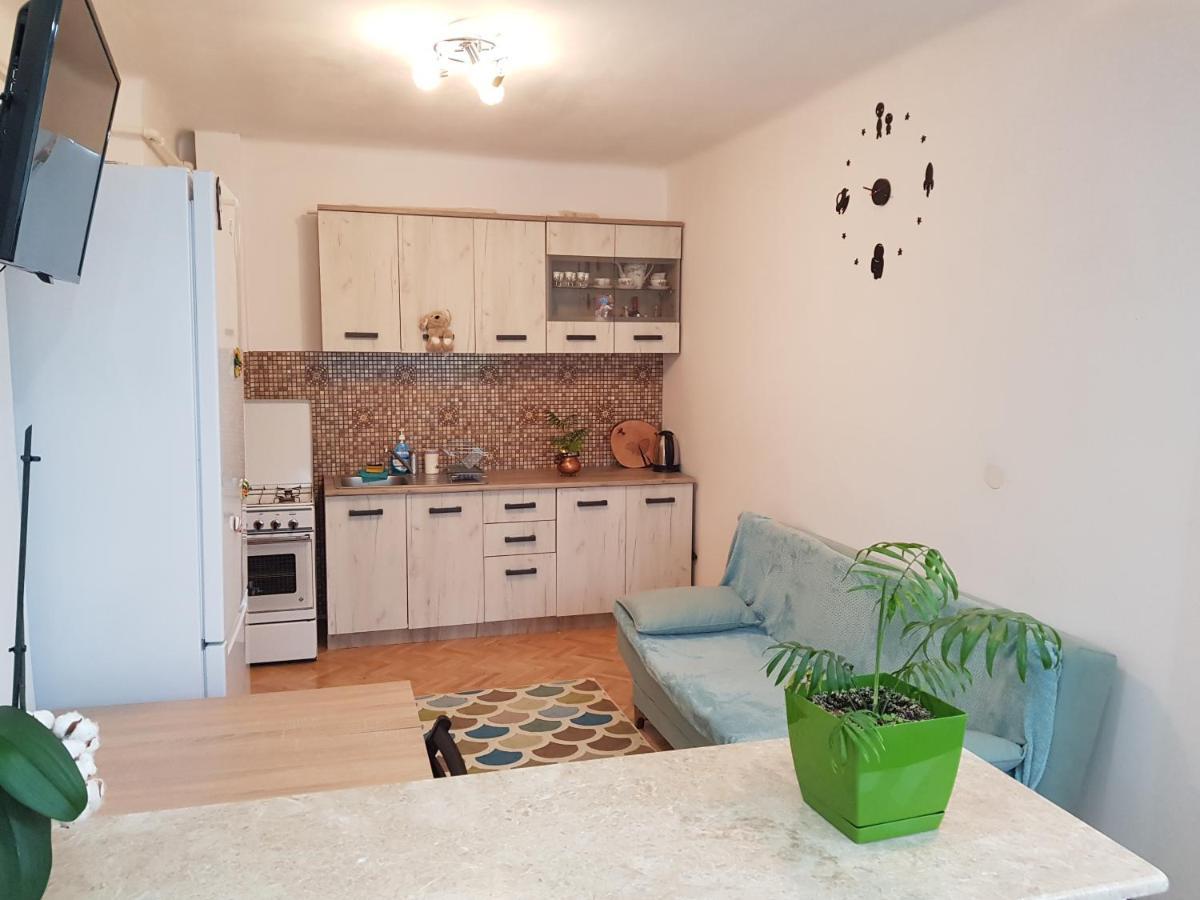 Aris Apartment Hunedoara Dış mekan fotoğraf