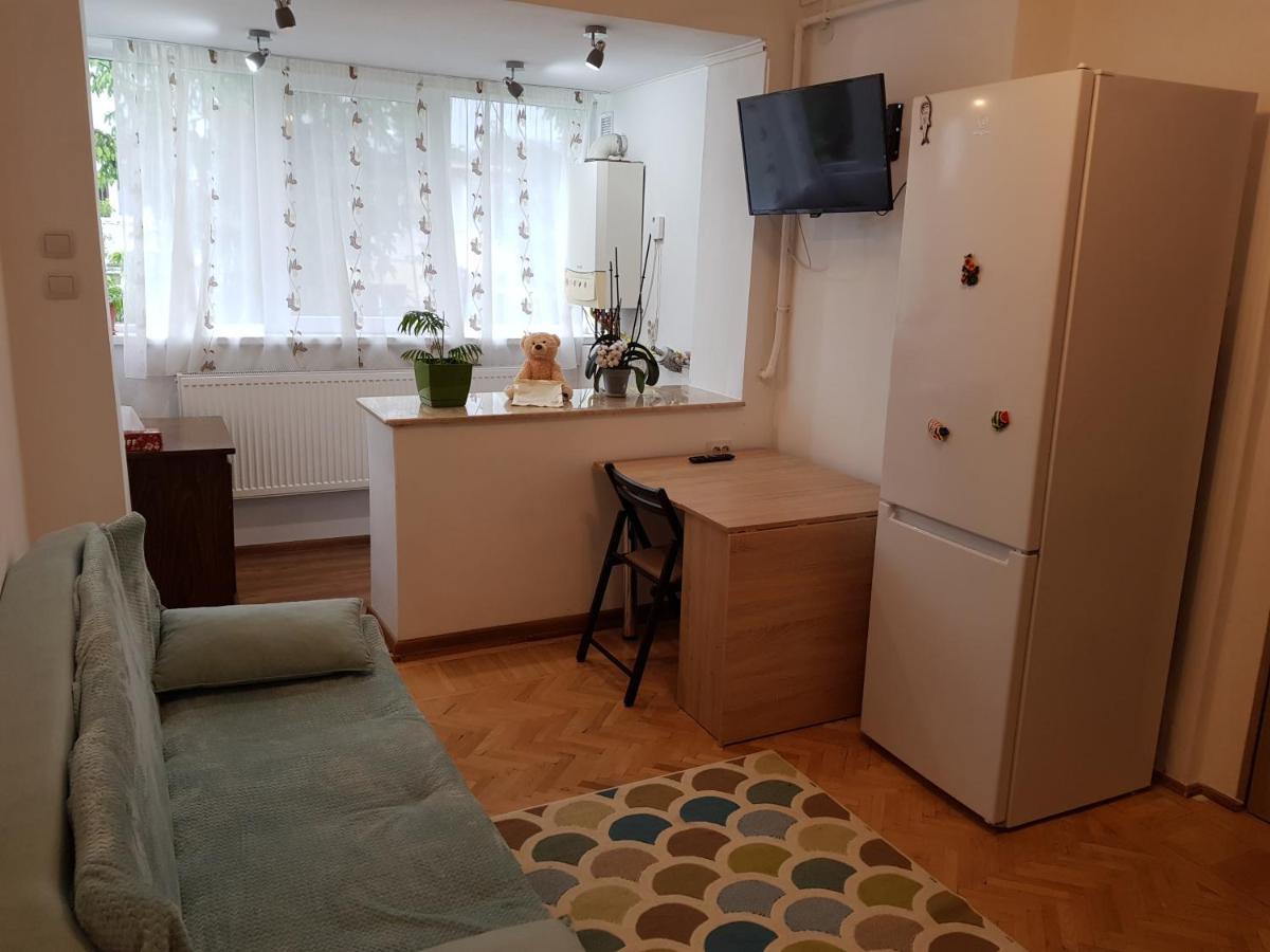 Aris Apartment Hunedoara Dış mekan fotoğraf